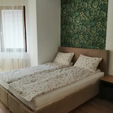 Evergreen Forest Apartment *